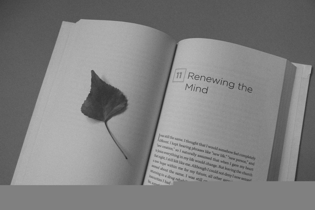 book, open book, leaf-912725 book, open book, leaf